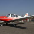 Beagle B-121 Pup 100