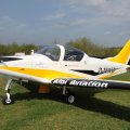 Flugplatz Bad Neustadt - Grasberg, Pioneer 300