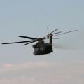 Tannkosh_2011_21