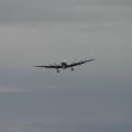 Tannkosh_2011_75