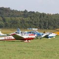 unser Falke am 10.9.2016 in Sinsheim